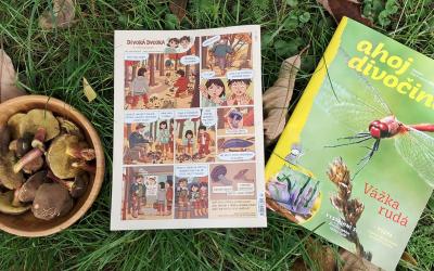 Komiks Divoká dvojka_píše Klára Smolíková, kreslí Ester Kuchynková