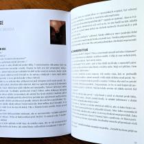 Kapuce od mikiny a povídka Lekce