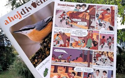 Komiks Divoká dvojka_píše Klára Smolíková, kreslí Ester Kuchynková