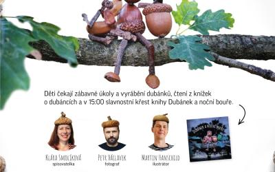 Dubánek a noční bouře