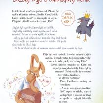 Králík málem králem napsala Klára Smolíková, nakreslila Kateřina Čupová.