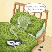 Knihomyš a neviditelný kluk: Klára Smolíková, ilustrace Komára